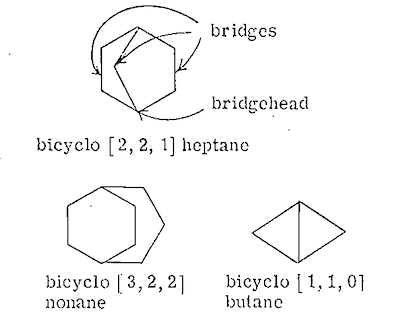 S-31 diagram